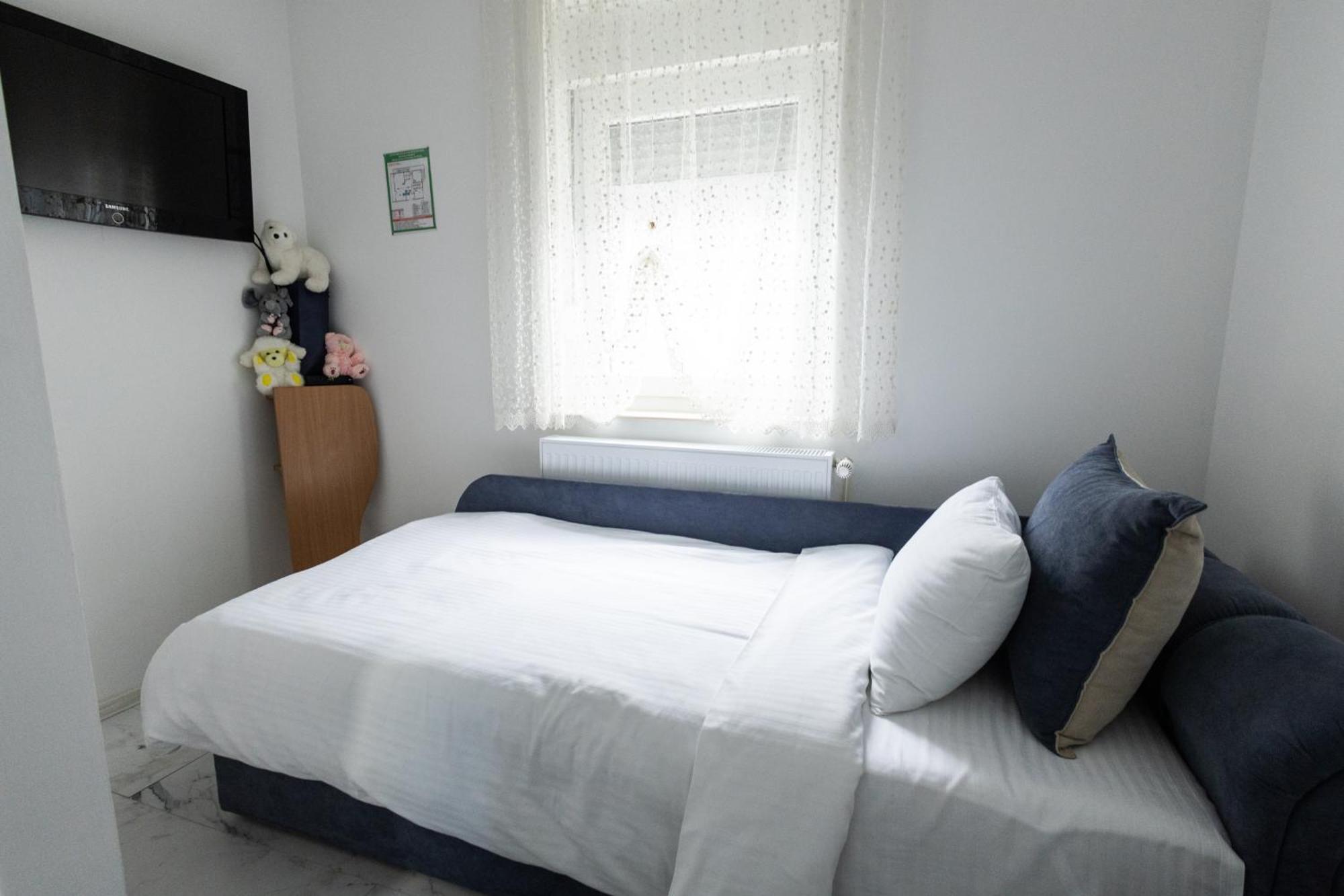 Appartamento Apartman Albijanic Sremska Kamenica Esterno foto