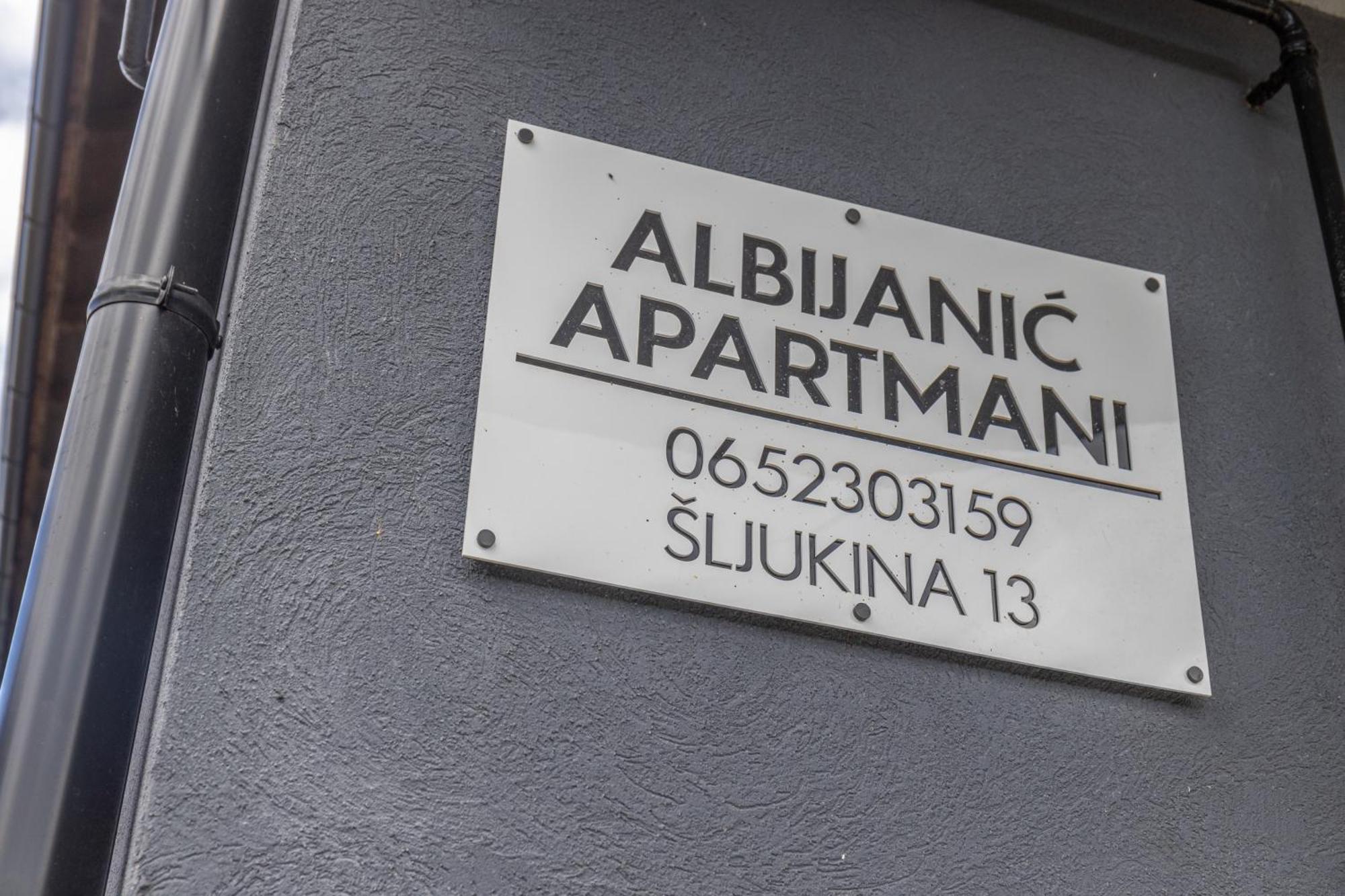 Appartamento Apartman Albijanic Sremska Kamenica Esterno foto
