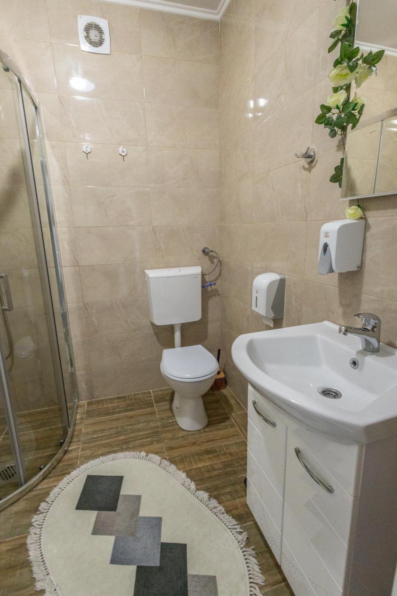 Appartamento Apartman Albijanic Sremska Kamenica Esterno foto